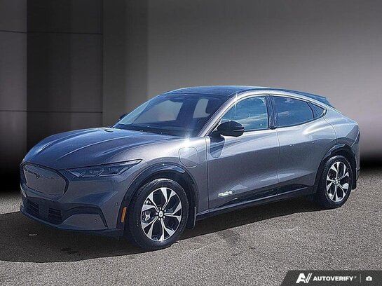 Ford Mustang Mach-E 2021 2021 Gris Ford Mustang Mach-E 2021 2021 Gris