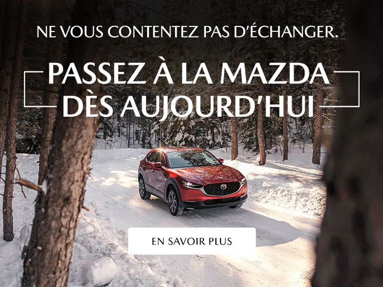 REFS 9337_PLM   Trade & Credit Update _ Evergreen_01_FR_WB_1140 x 386